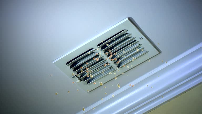 Best Residential Air Duct Cleaning  in Allendale, CA