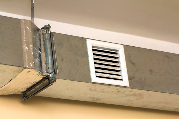 Best Home Air Vent Cleaning  in Allendale, CA